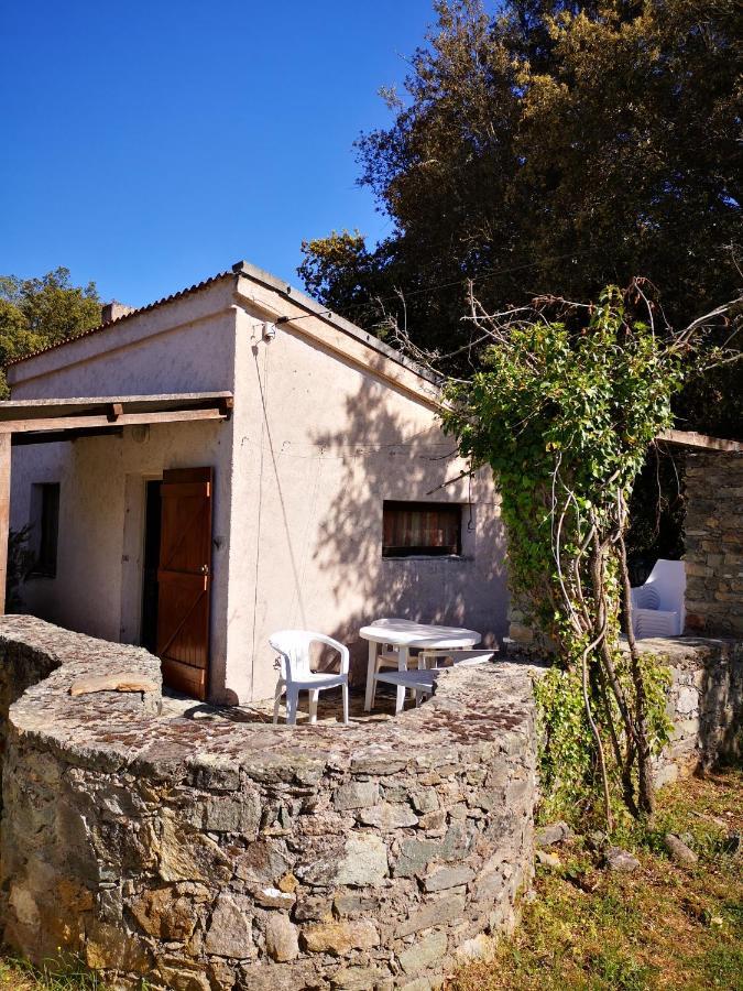 Campita Omessa Exterior foto